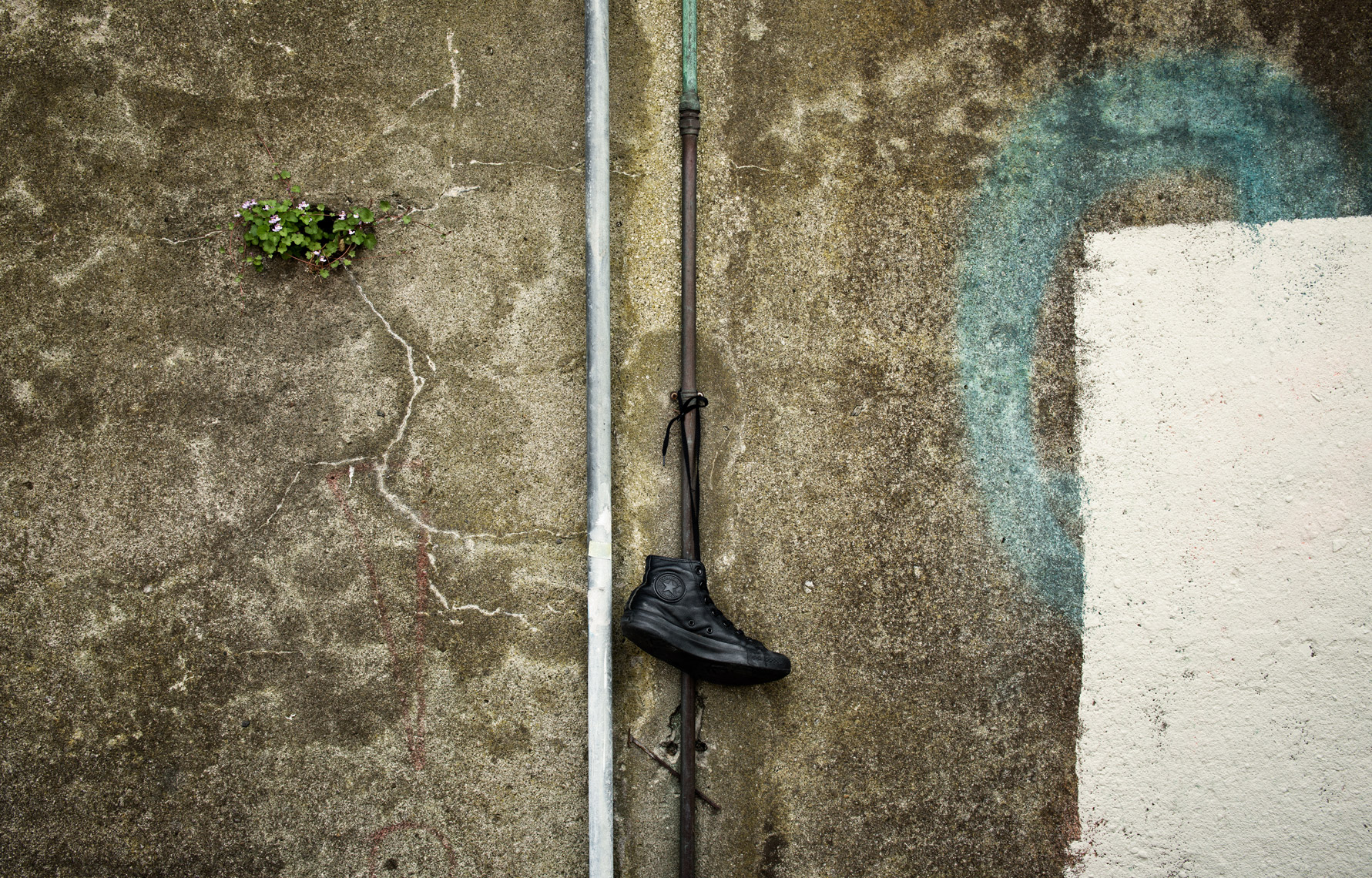 Shoefiti_07.jpg